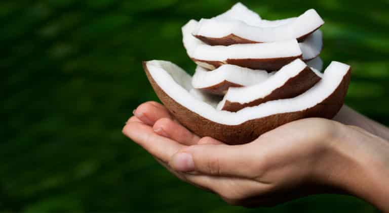 Hands holding coconut shells infront of a green background